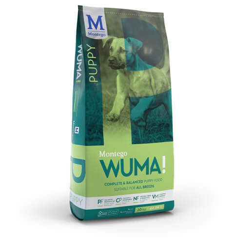 Vitamins and minerals essential to complete and balanced nutrition help to strengthen your puppy’s developing immune system.