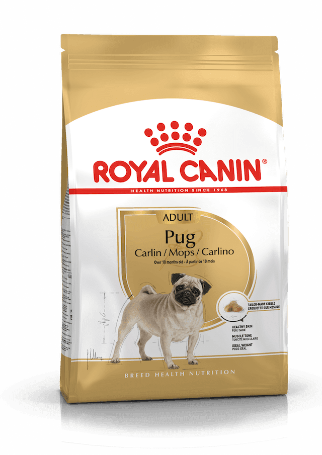 This formula helps maintain the Pug’s muscle tone.